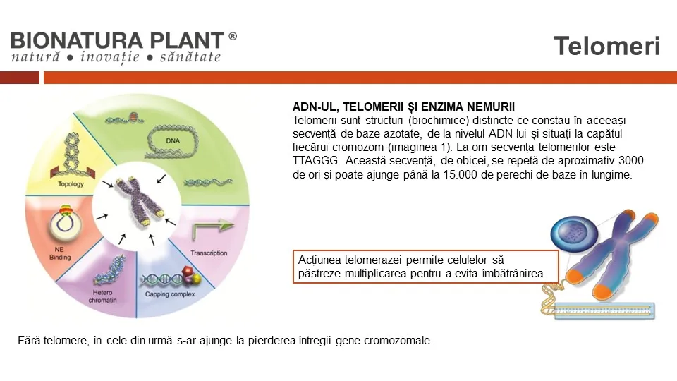 Biotelomer 5