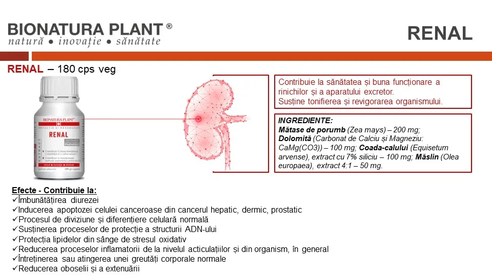 Renal 4 Renal 3