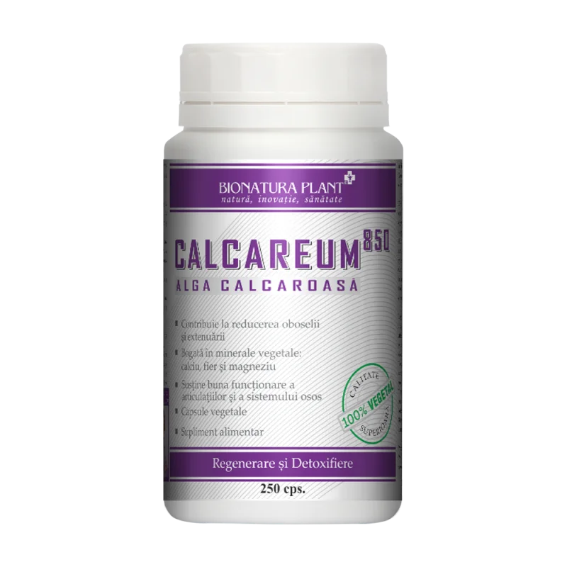 Calcareum 850 1