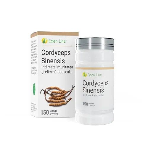 Cordyceps sinensis 1