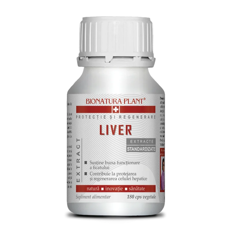 Liver 1