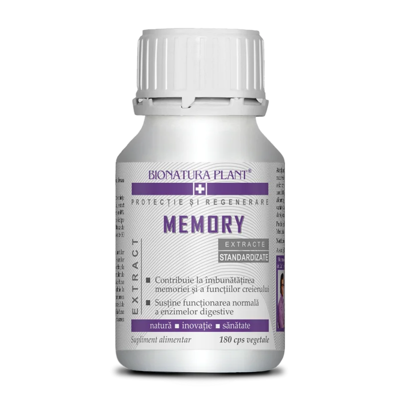Memory 1