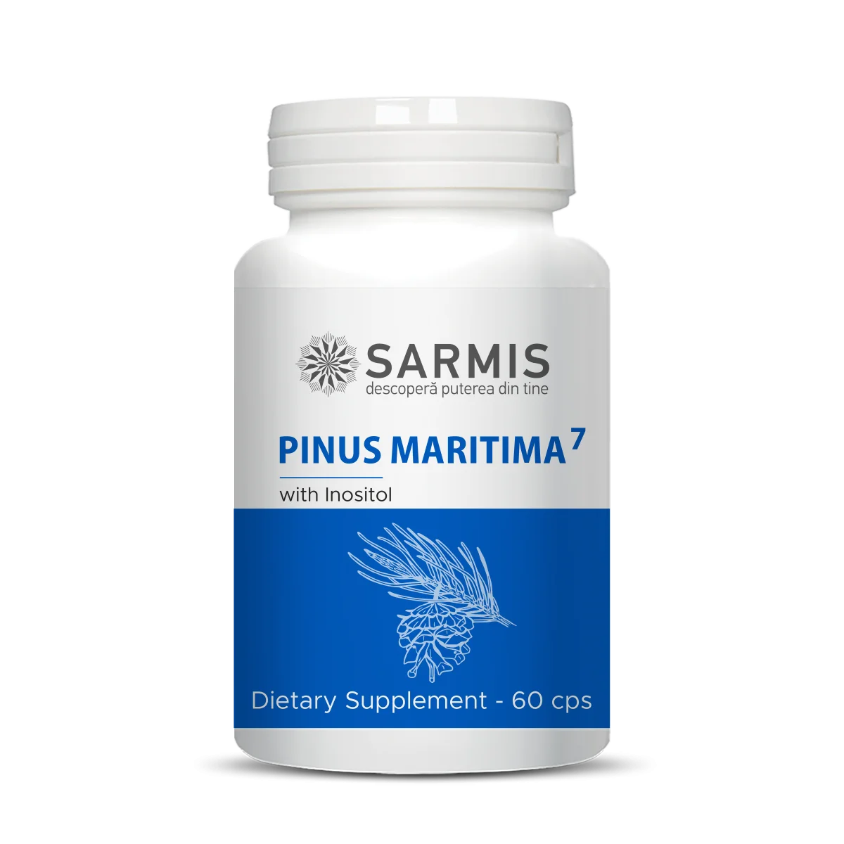 Pinus Maritima7 - 60 cps 9