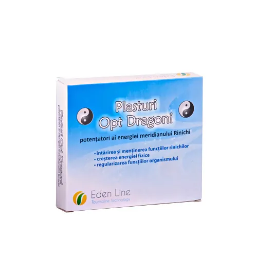 Plasturi pentru rinichi | 8 Dragoni 2 Plasturi pentru rinichi | 8 Dragoni 1