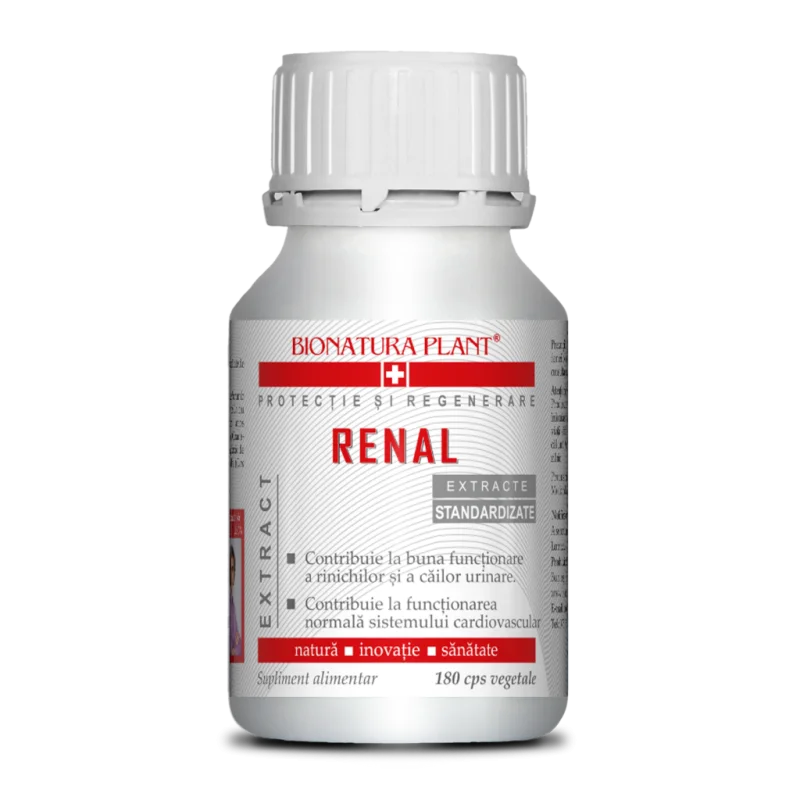 Renal 1