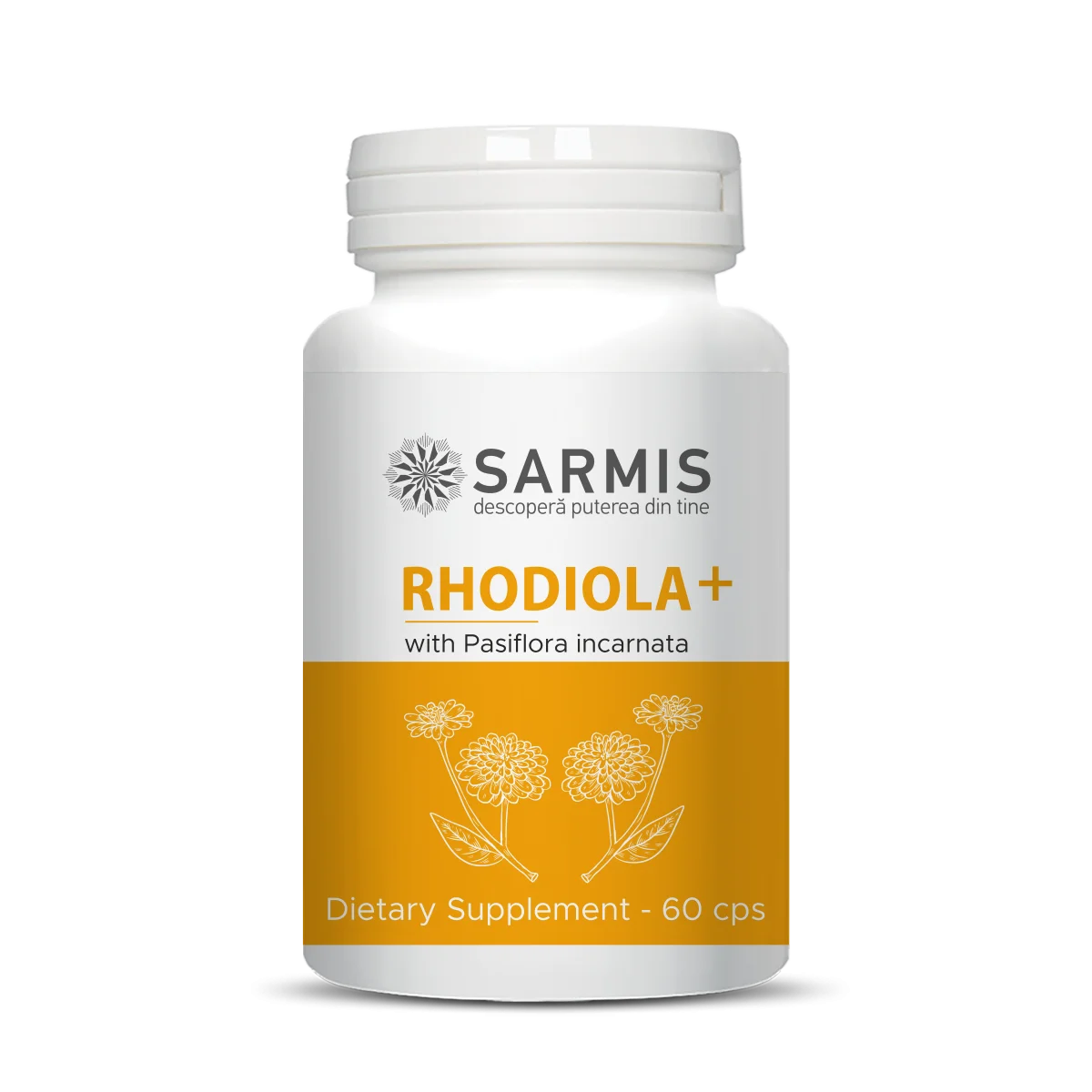 Rhodiola+ - 60 cps 5